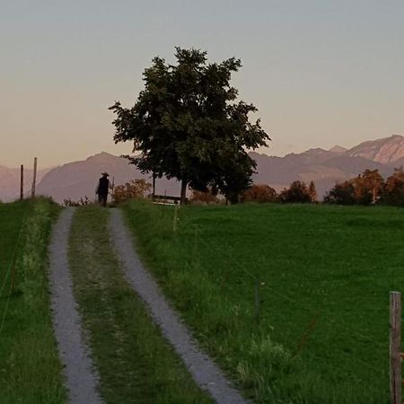 Like Home Ruti  Kültér fotó